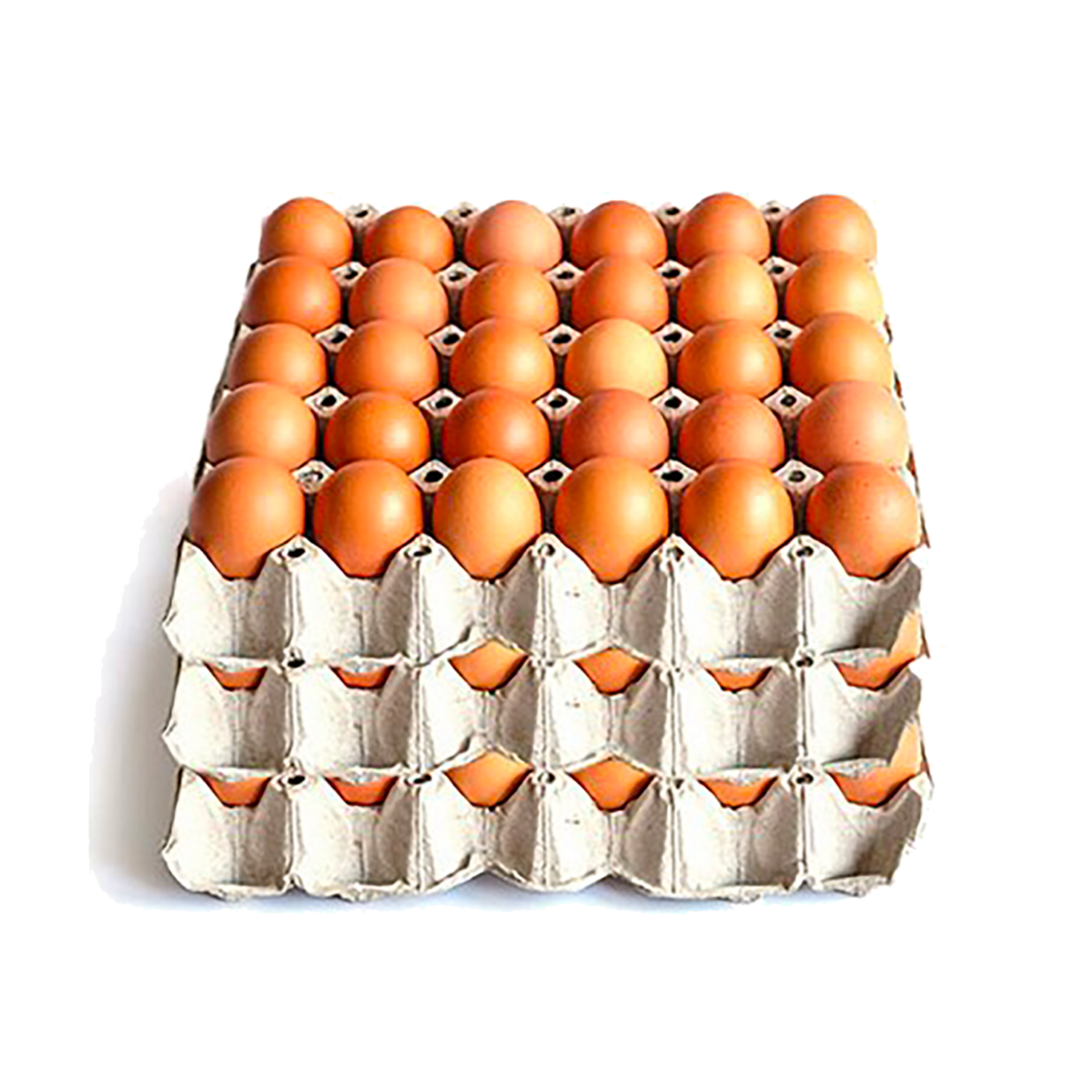 Uova di gallina