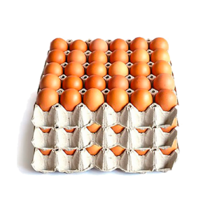 Uova di gallina