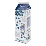 Purea mirtillo rogelfruit – KG. 1